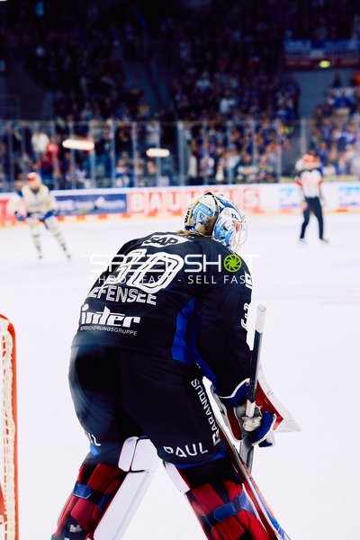 Adler Mannheim vs Schwenninger Wild Wings | 19.01.2024