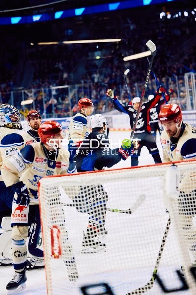 Adler Mannheim vs Schwenninger Wild Wings | 19.01.2024