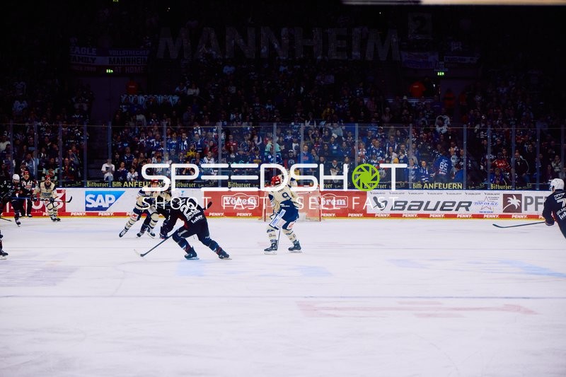 Adler Mannheim vs Schwenninger Wild Wings | 19.01.2024