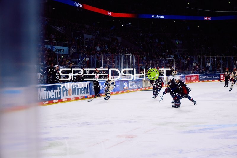 Adler Mannheim vs Schwenninger Wild Wings | 19.01.2024
