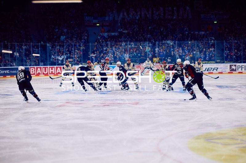 Adler Mannheim vs Schwenninger Wild Wings | 19.01.2024
