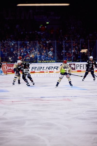 Adler Mannheim vs Schwenninger Wild Wings | 19.01.2024