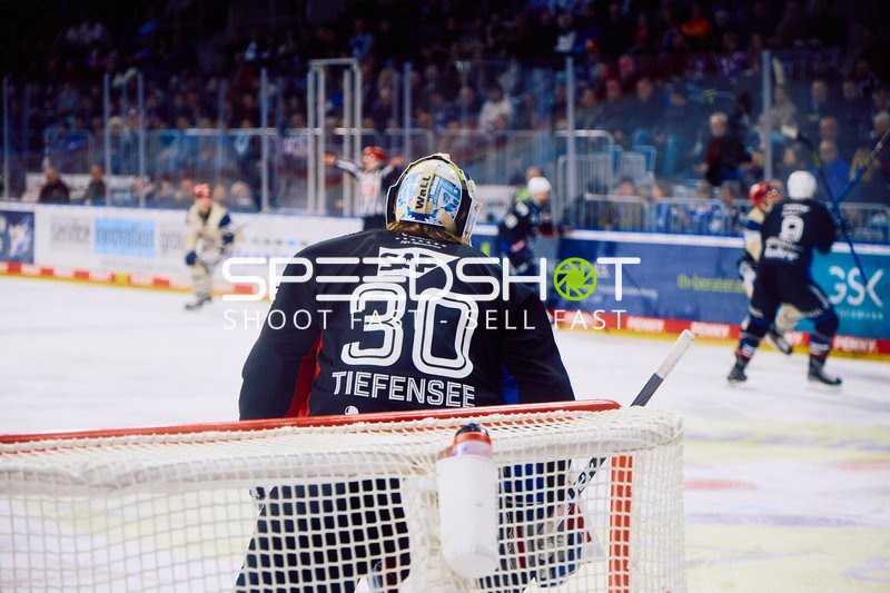 Adler Mannheim vs Schwenninger Wild Wings | 19.01.2024