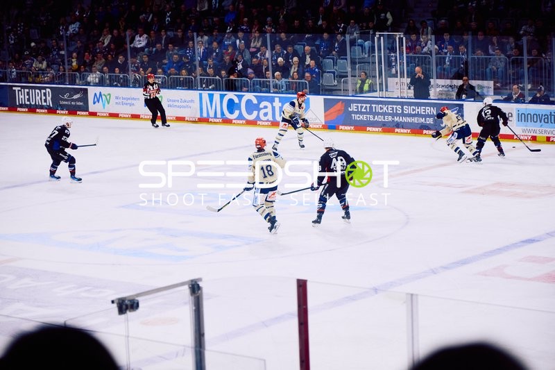 Adler Mannheim vs Schwenninger Wild Wings | 19.01.2024