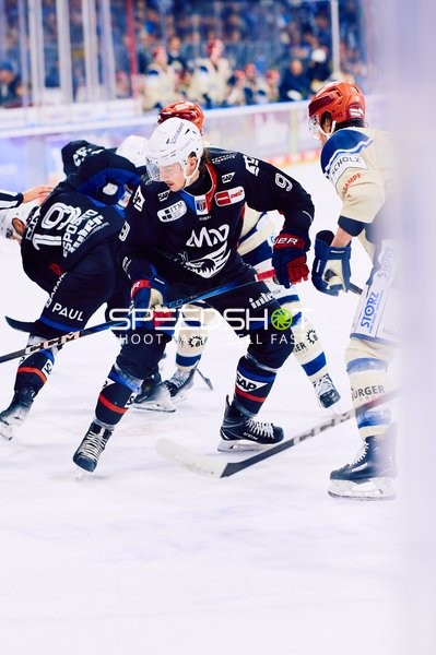 Adler Mannheim vs Schwenninger Wild Wings | 19.01.2024