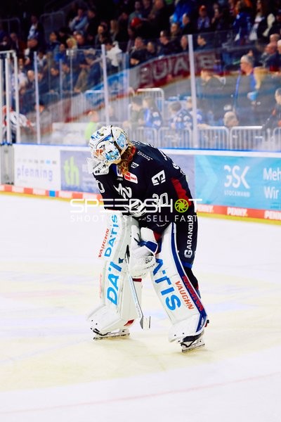 Adler Mannheim vs Schwenninger Wild Wings | 19.01.2024