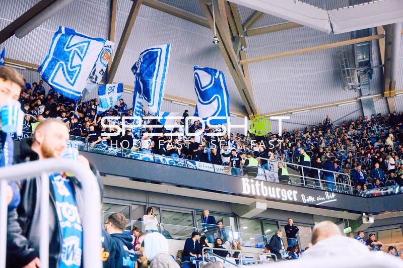 Adler Mannheim vs Schwenninger Wild Wings | 19.01.2024