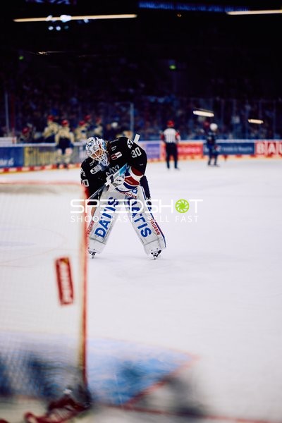 Adler Mannheim vs Schwenninger Wild Wings | 19.01.2024