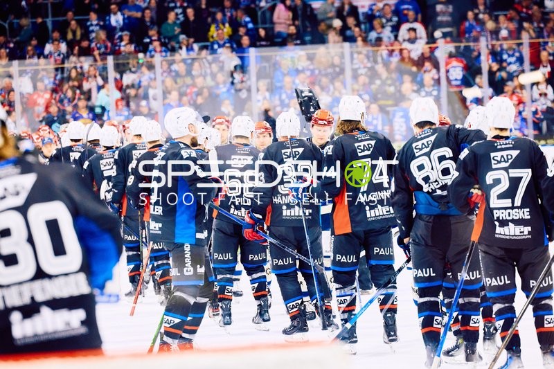Adler Mannheim vs Schwenninger Wild Wings | 19.01.2024