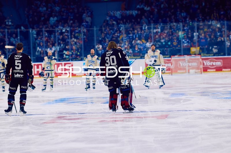 Adler Mannheim vs Schwenninger Wild Wings | 19.01.2024