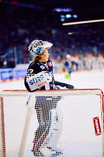 Adler Mannheim vs Schwenninger Wild Wings | 19.01.2024