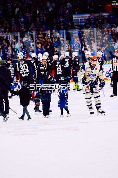 Adler Mannheim vs Schwenninger Wild Wings | 19.01.2024
