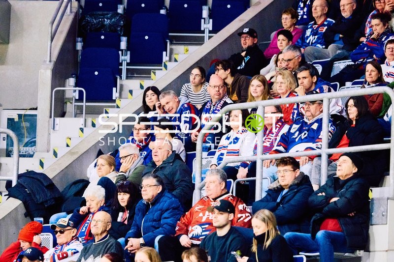 Adler Mannheim vs Schwenninger Wild Wings | 19.01.2024