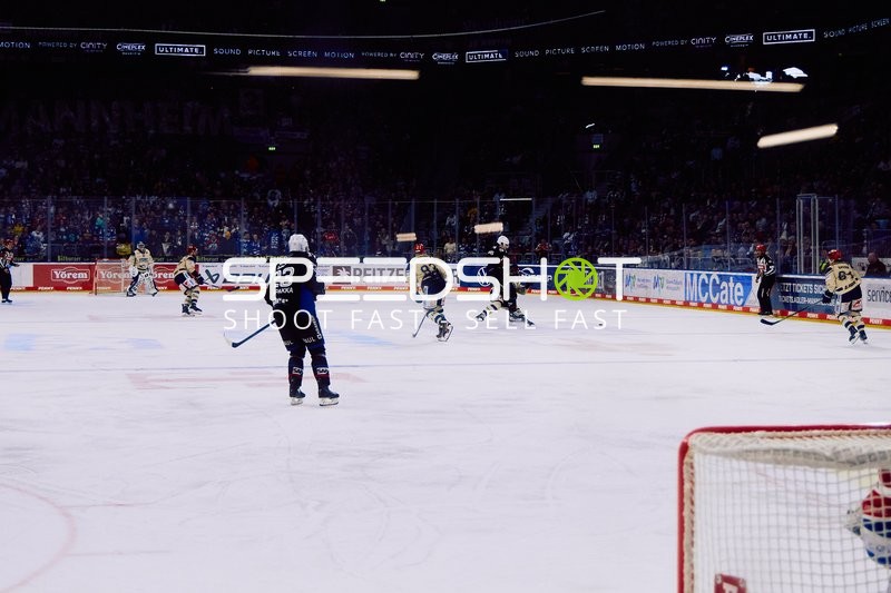 Adler Mannheim vs Schwenninger Wild Wings | 19.01.2024