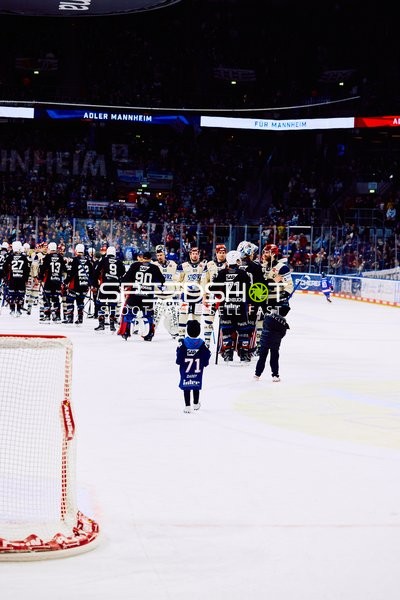 Adler Mannheim vs Schwenninger Wild Wings | 19.01.2024