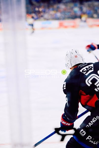 Adler Mannheim vs Schwenninger Wild Wings | 19.01.2024
