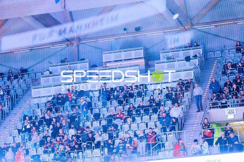 Adler Mannheim vs Schwenninger Wild Wings | 19.01.2024