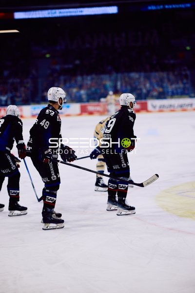 Adler Mannheim vs Schwenninger Wild Wings | 19.01.2024