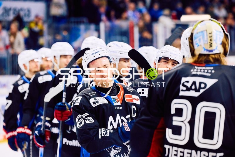 Adler Mannheim vs Schwenninger Wild Wings | 19.01.2024