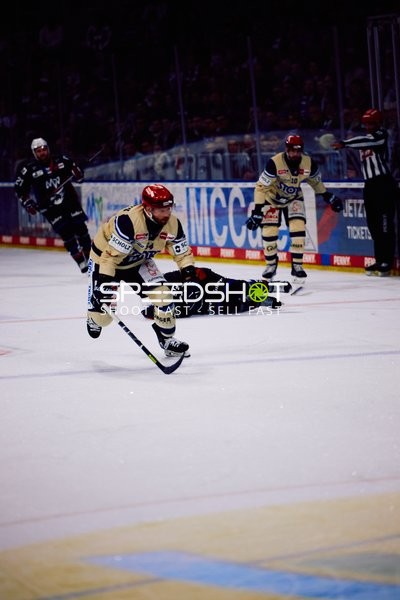 Adler Mannheim vs Schwenninger Wild Wings | 19.01.2024