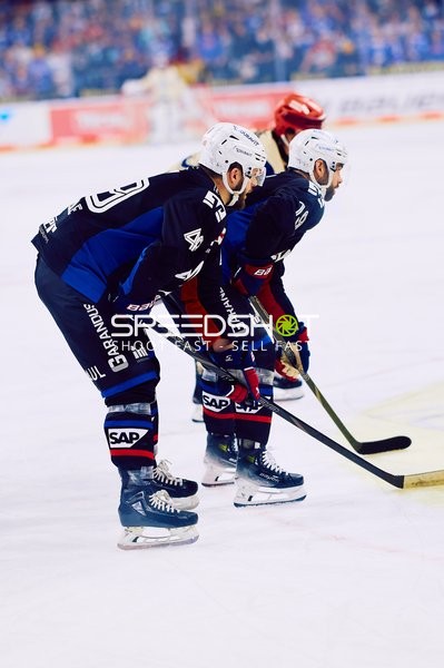 Adler Mannheim vs Schwenninger Wild Wings | 19.01.2024
