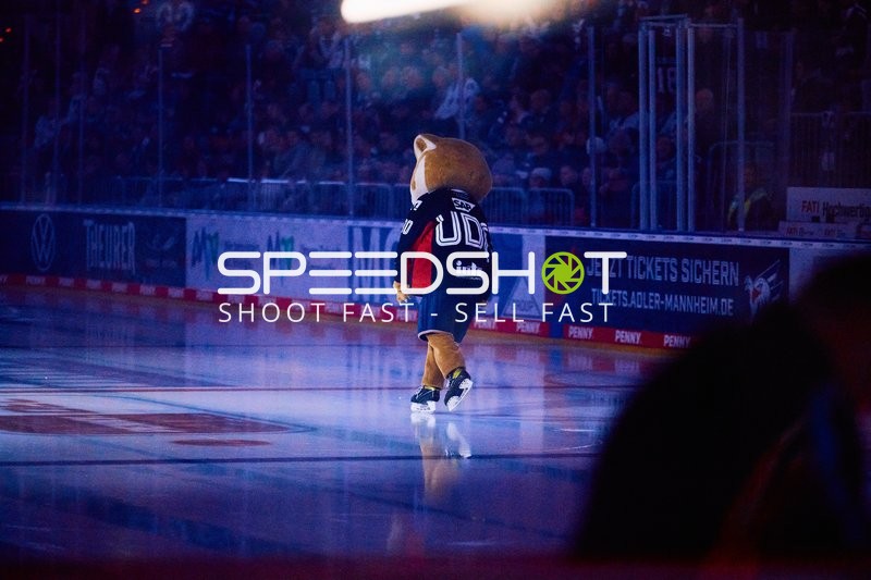Adler Mannheim vs Schwenninger Wild Wings | 19.01.2024
