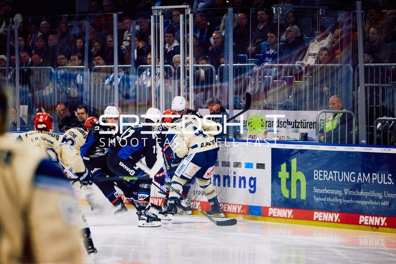 Adler Mannheim vs Schwenninger Wild Wings | 19.01.2024