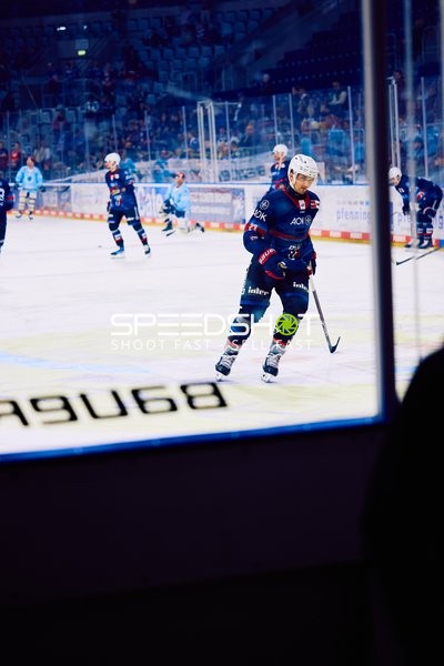 Adler Mannheim vs Schwenninger Wild Wings | 19.01.2024