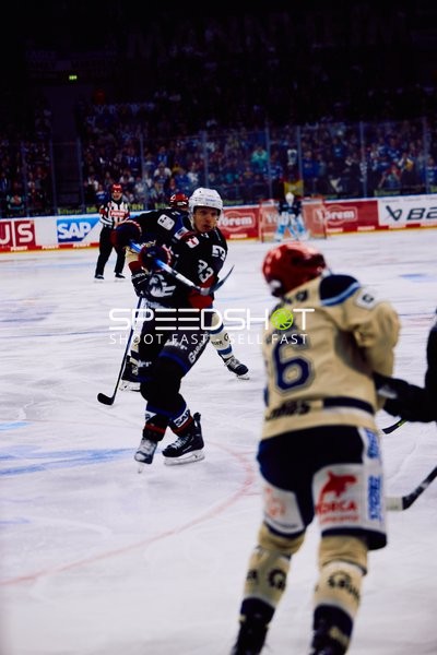 Adler Mannheim vs Schwenninger Wild Wings | 19.01.2024
