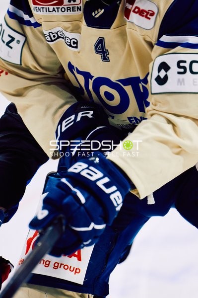 Adler Mannheim vs Schwenninger Wild Wings | 19.01.2024