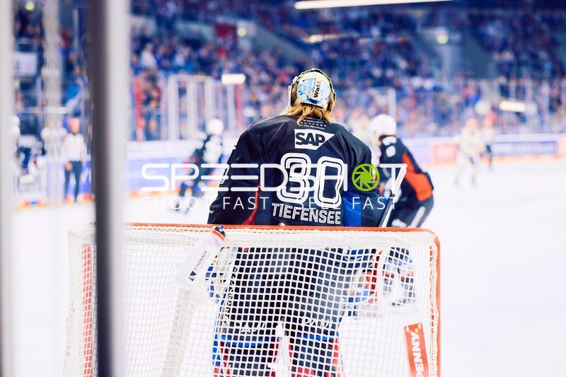 Adler Mannheim vs Schwenninger Wild Wings | 19.01.2024