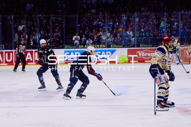 Adler Mannheim vs Schwenninger Wild Wings | 19.01.2024