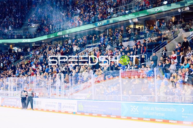 Adler Mannheim vs Schwenninger Wild Wings | 19.01.2024