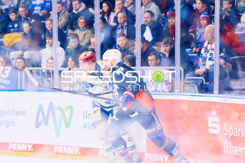 Adler Mannheim vs Schwenninger Wild Wings | 19.01.2024