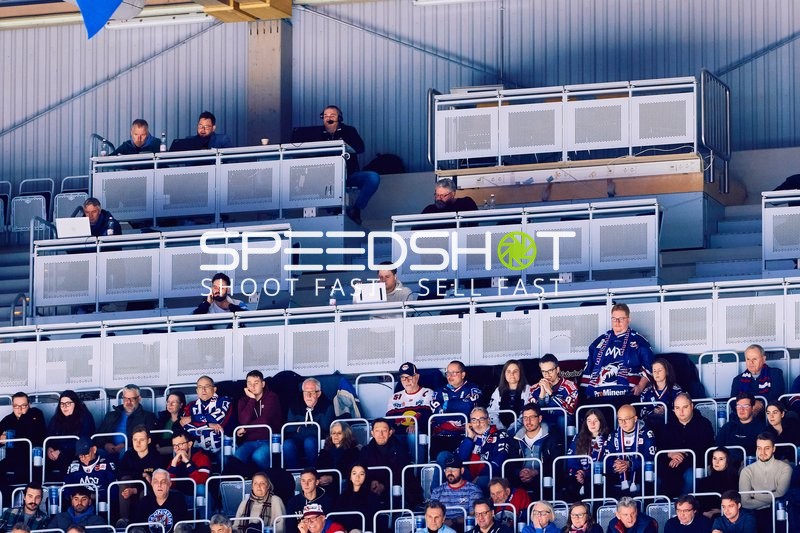 Adler Mannheim vs Schwenninger Wild Wings | 19.01.2024