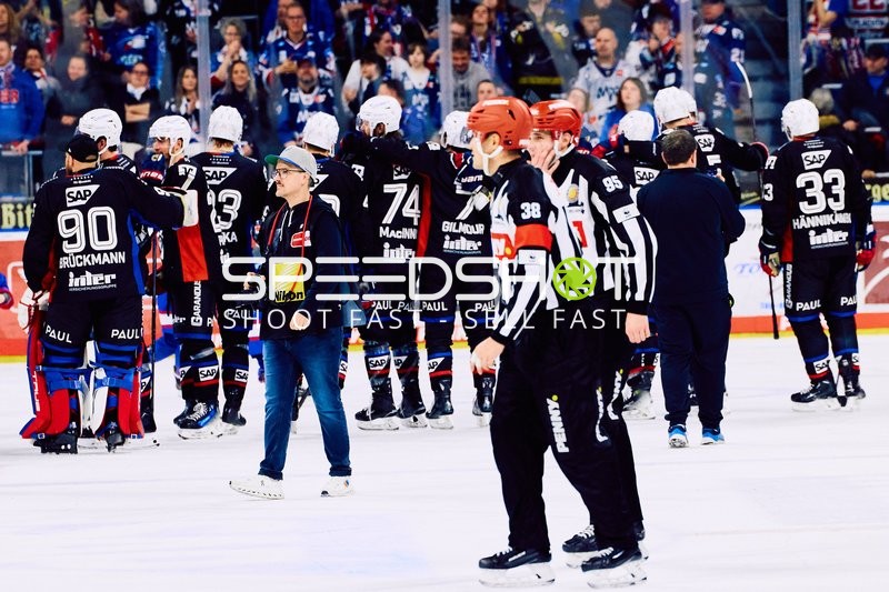 Adler Mannheim vs Schwenninger Wild Wings | 19.01.2024
