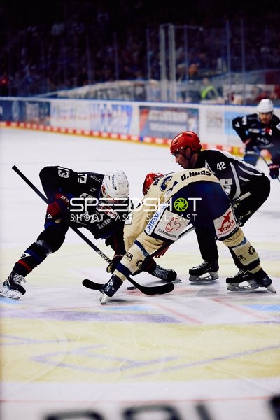 Adler Mannheim vs Schwenninger Wild Wings | 19.01.2024