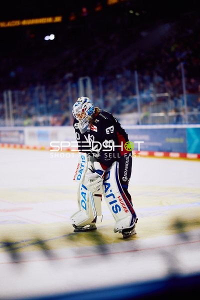 Adler Mannheim vs Schwenninger Wild Wings | 19.01.2024