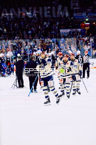 Adler Mannheim vs Schwenninger Wild Wings | 19.01.2024
