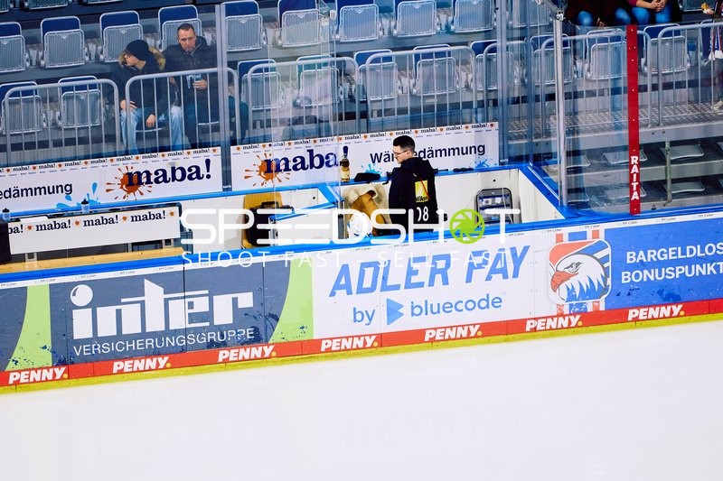 Adler Mannheim vs Schwenninger Wild Wings | 19.01.2024