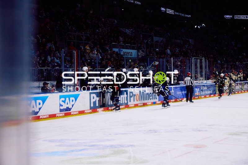 Adler Mannheim vs Schwenninger Wild Wings | 19.01.2024