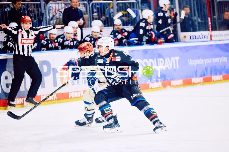 Adler Mannheim vs Schwenninger Wild Wings | 19.01.2024