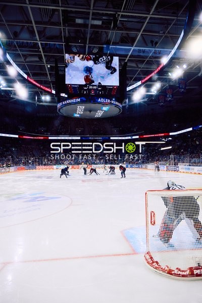 Adler Mannheim vs Schwenninger Wild Wings | 19.01.2024