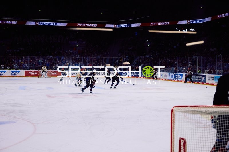 Adler Mannheim vs Schwenninger Wild Wings | 19.01.2024