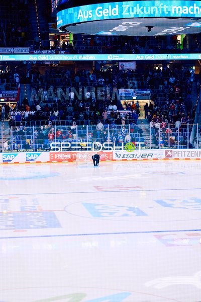 Adler Mannheim vs Schwenninger Wild Wings | 19.01.2024