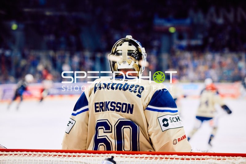 Adler Mannheim vs Schwenninger Wild Wings | 19.01.2024