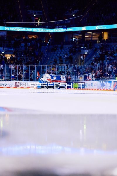 Adler Mannheim vs Schwenninger Wild Wings | 19.01.2024