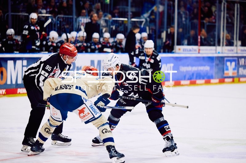 Adler Mannheim vs Schwenninger Wild Wings | 19.01.2024