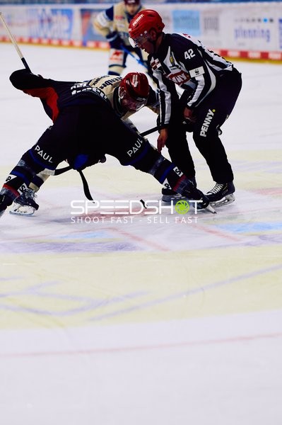 Adler Mannheim vs Schwenninger Wild Wings | 19.01.2024