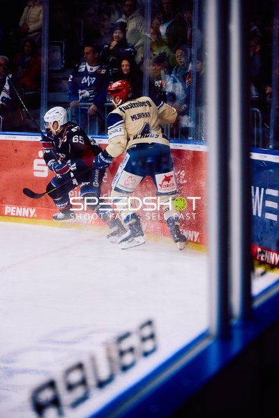 Adler Mannheim vs Schwenninger Wild Wings | 19.01.2024
